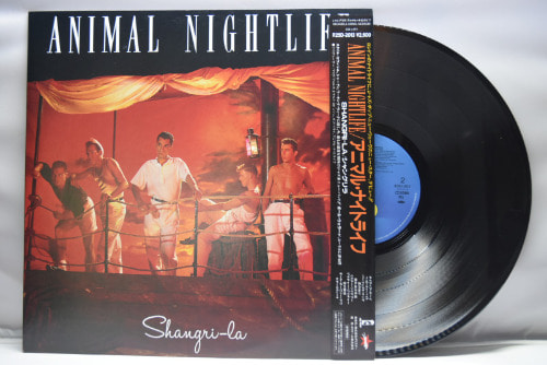 Animal Nightlife [애니멀 나이트라이프] - Shangri-La ㅡ 중고 수입 오리지널 아날로그 LP