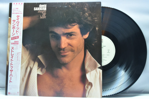 David Sanborn [데이비드 샌본] - Straight to the Heart ㅡ 중고 수입 오리지널 아날로그 LP