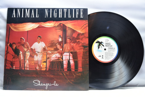 Animal Nightlife- Shangri-La ㅡ 중고 수입 오리지널 아날로그 LP