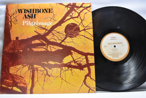 Wishbone Ash [위시본 애쉬] - Pilgrimage ㅡ 중고 수입 오리지널 아날로그 LP