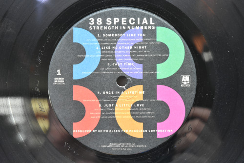 38 Special - Strength In Numbers ㅡ 중고 수입 오리지널 아날로그 LP