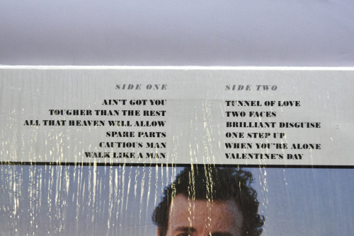 Bruce Springsteen - Tunnel Of Love ㅡ 중고 수입 오리지널 아날로그 LP
