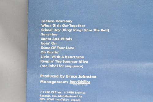 The Beach Boys [비치보이스] - Keepin&#039; The Summer Alive ㅡ 중고 수입 오리지널 아날로그 LP