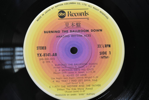 The Amazing Rhythm Aces - Burning The Ballroom Down (Promo) ㅡ 중고 수입 오리지널 아날로그 LP