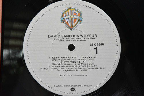 Davis Sanborn [데이비드 샌본] ‎- Voyeur - 중고 수입 오리지널 아날로그 LP