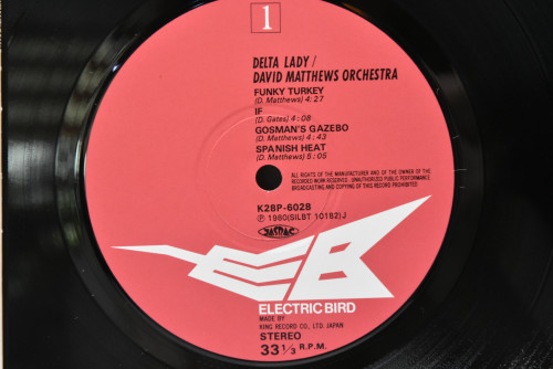 David Matthews Orchestra [데이빗 매튜] ‎- Delta Lady - 중고 수입 오리지널 아날로그 LP