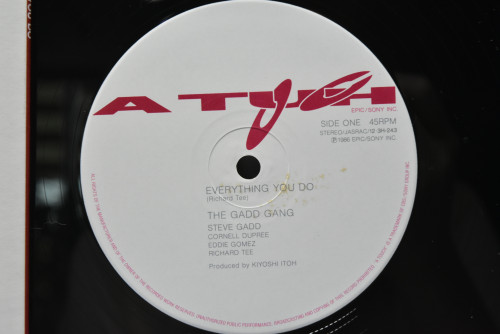 The Gadd Gang [스티브 갯] ‎- Everything You Do - 중고 수입 오리지널 아날로그 LP