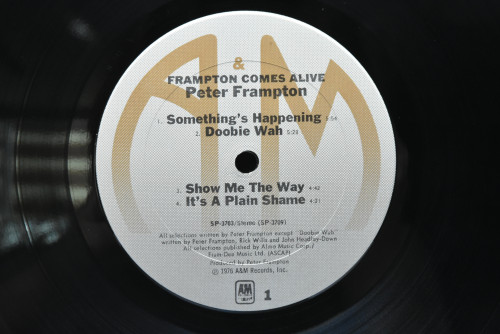 Peter Frampton [피터 프램튼] - Frampton Comes Alive! ㅡ 중고 수입 오리지널 아날로그 LP