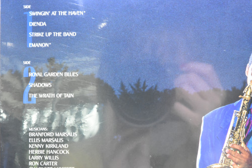 Branford Marsalis [브랜포드 마샬리스] ‎- Royal Garden Blues (NO OPEN) - 중고 수입 오리지널 아날로그 LP