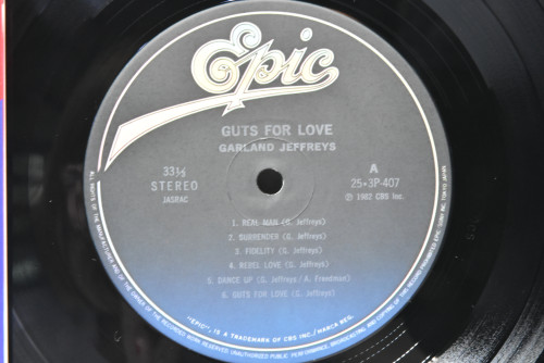 Garland Jeffreys [갈란드 제프리즈] - Guts For Love ㅡ 중고 수입 오리지널 아날로그 LP