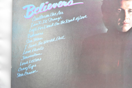 Don McLean [돈 맥클린] ‎- Believers - 중고 수입 오리지널 아날로그 LP