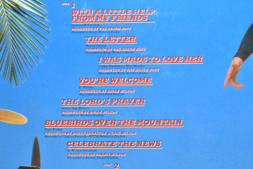 The Beach Boys [비치 보이스] - The Beach Boys Rarities (Promo) ㅡ 중고 수입 오리지널 아날로그 LP