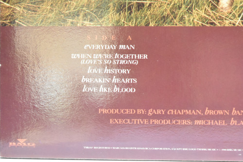 Gary Chapman [게리 채프먼] - Everyday Man ㅡ 중고 수입 오리지널 아날로그 LP
