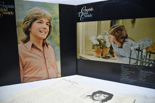David Cassidy [데이비드 캐시디] - Cherish ㅡ 중고 수입 오리지널 아날로그 LP