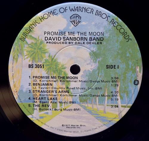 David Sanborn [데이비드 샌본] ‎- Promise Me The Moon - 중고 수입 오리지널 아날로그 LP