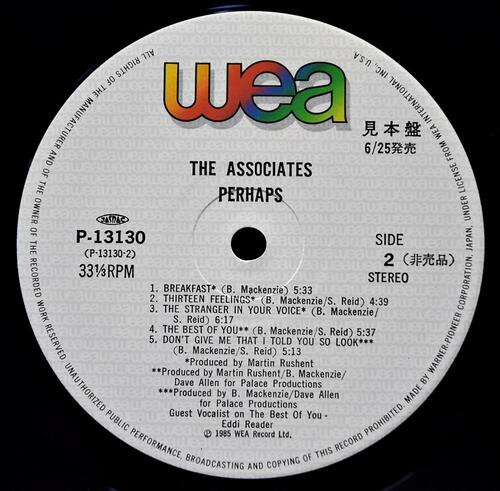 The Associates [어쏘시에이츠] – Perhaps (Promo) ㅡ 중고 수입 오리지널 아날로그 LP
