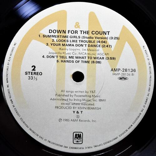 Y &amp; T [와이 앤 티] ‎– Down For The Count  ㅡ 중고 수입 오리지널 아날로그 LP