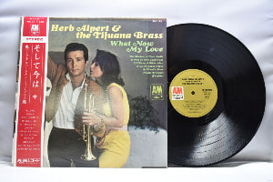 Herb Alpert &amp; The Tijuana Brass [허브 알버트] - What Now My Love - 중고 수입 오리지널 아날로그 LP