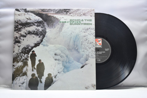 porcupine [폴큐파인]ㅡEcho&amp;The Bunnymen- 중고 수입 오리지널 아날로그 LP