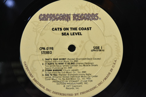 Sea Level - Cats On The Coast ㅡ 중고 수입 오리지널 아날로그 LP