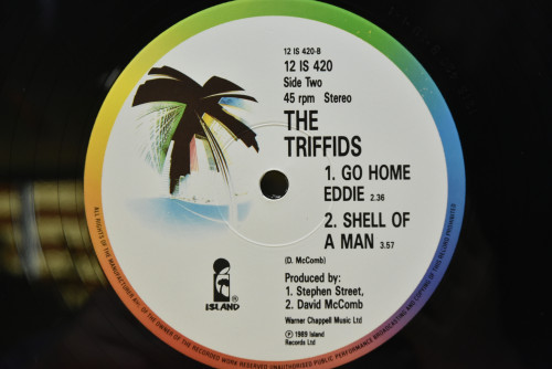The Triffids - Goodbye Little Boy ㅡ 중고 수입 오리지널 아날로그 LP