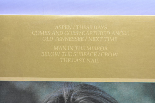 Dan Fogelberg [댄 포겔버그] ‎- Captured Angel - 중고 수입 오리지널 아날로그 LP