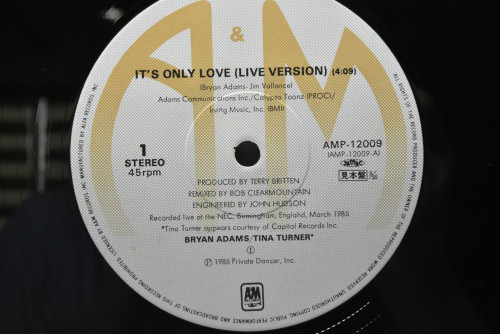 Bryan Adams / Tina Turner [티나 터너] ‎- It&#039;s Only Love - 중고 수입 오리지널 아날로그 LP