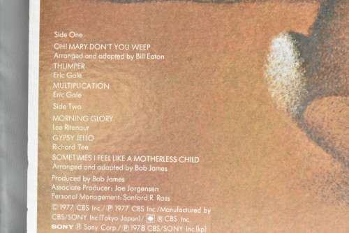 Eric Gale [에릭 게일] ‎- Multiplication - 중고 수입 오리지널 아날로그 LP