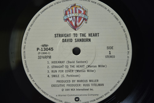 David Sanborn [데이비드 샌본] ‎- Straight To The Heart - 중고 수입 오리지널 아날로그 LP