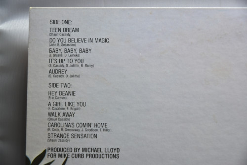 Shaun Cassidy [숀 캐시디] - Born Late ㅡ 중고 수입 오리지널 아날로그 LP