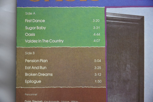 Dan Siegel [댄 시겔] - Oasis ㅡ 중고 수입 오리지널 아날로그 LP