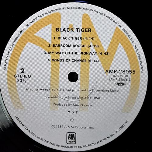 Y &amp; T – Black Tiger ㅡ 중고 수입 오리지널 아날로그 LP