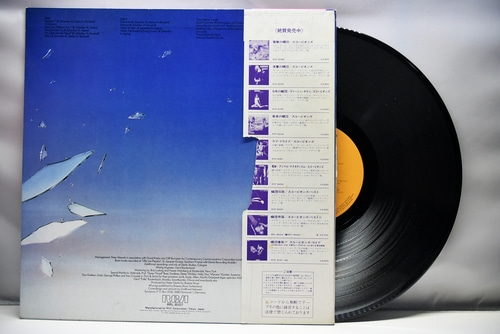 Scorpions [스콜피온스] - Blackout ㅡ 중고 수입 오리지널 아날로그 LP