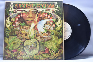 Spyro Gyra[스파이로 자이라] - Morning Dance ㅡ 중고 수입 오리지널 아날로그 LP