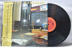 Wynton Marsalis[윈튼 마살리스] -Black Codes ㅡ 중고 수입 오리지널 아날로그 LP