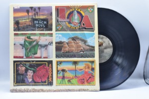 Beach Boys[비치 보이즈]-Light Album 중고 수입 오리지널 아날로그 LP