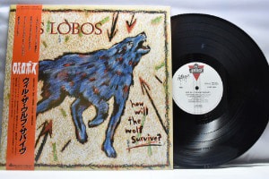 Los Lobos - How Will The Wolf Survive? ㅡ 중고 수입 오리지널 아날로그 LP