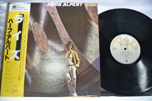 Herb Alpert [허브 앨퍼트] ‎- Rise - 중고 수입 오리지널 아날로그 LP